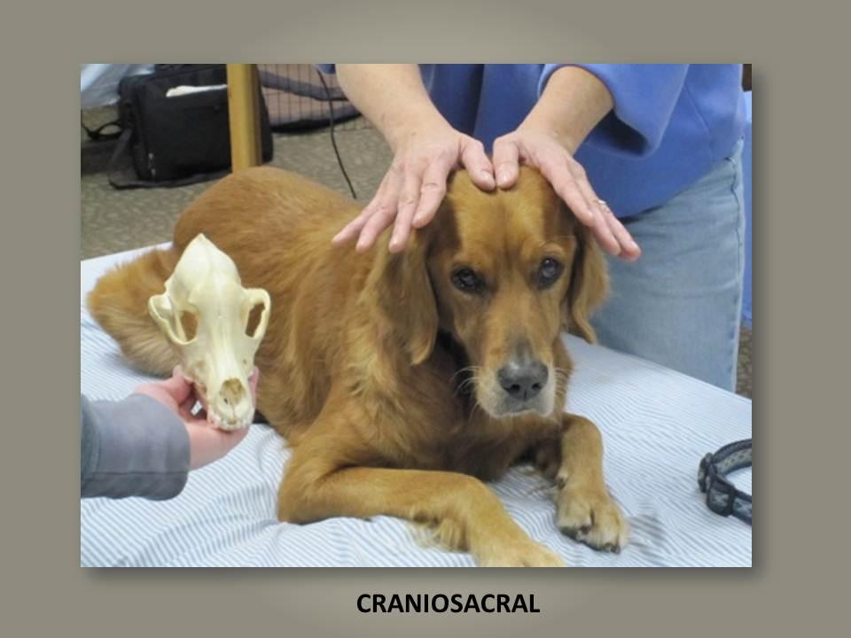 Craniosacral